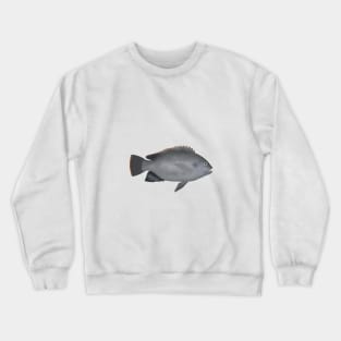 Victoria Tilapia Crewneck Sweatshirt